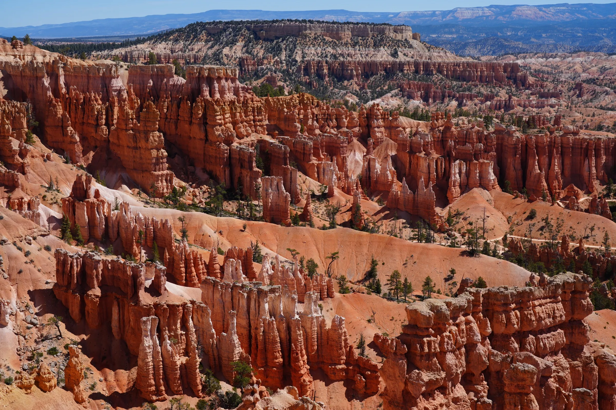 From red rock to neon | American Southwest