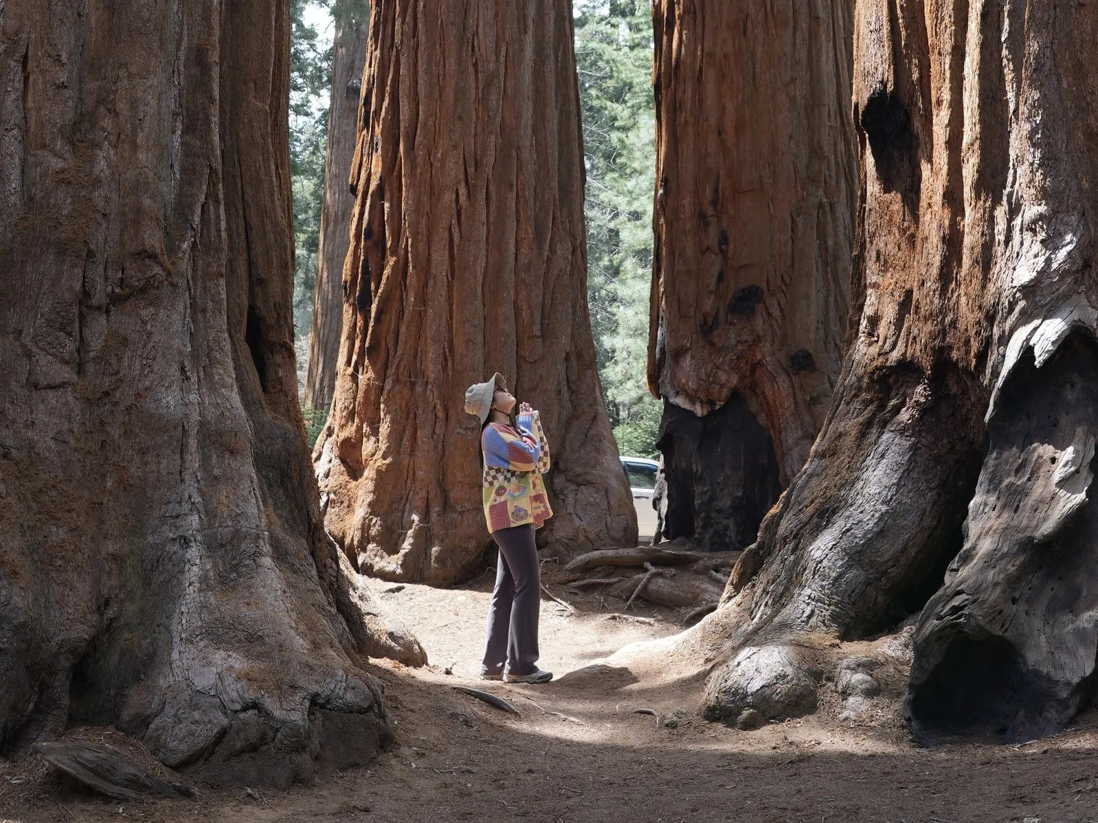 Staggering giants | Sequoia & Kings Canyon